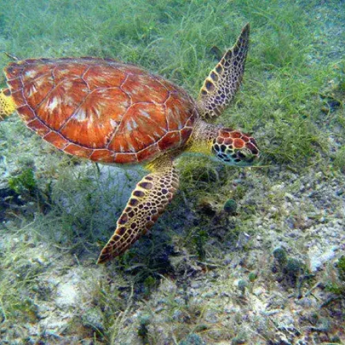 p-nationalpark1-jpg_55_660x440_201405310427